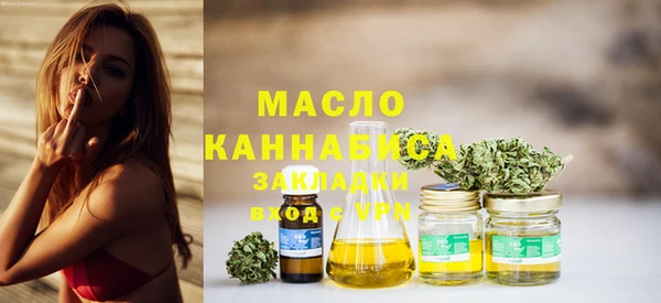 МДПВ Каменка