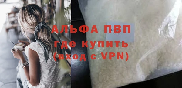МДПВ Каменка