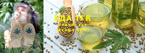 скорость Каменногорск