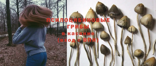 МДПВ Каменка