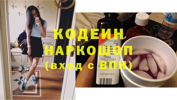 МДПВ Каменка