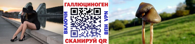 Псилоцибиновые грибы Psilocybe  Купить  Покров 